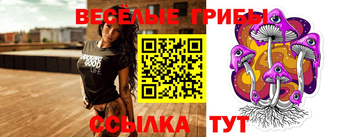 Советск  Псилоцибиновые грибы мухоморы  Вход с VPN 